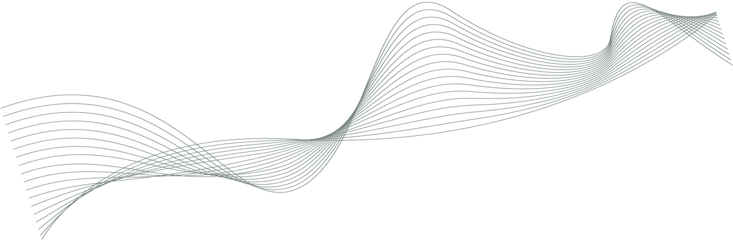 Next Stop Packers Movers